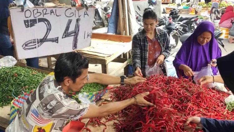 Murah dan Melimpah, Warga Borong Cabai Merah