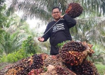 Harga CPO Melonjak karena Perkiraan Penurunan Produksi dan Stok