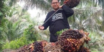Harga CPO Melonjak karena Perkiraan Penurunan Produksi dan Stok