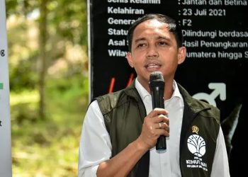 Raja Juli Antoni : Hari Bakti Rimbawan 2025 jadi Momen untuk Evaluasi