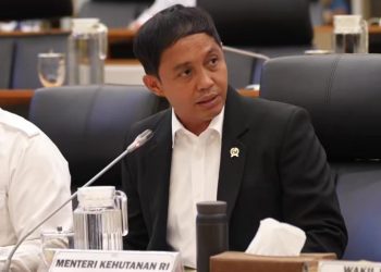 Raja Juli Antoni : Usulkan Aren Jadi Bahan Bakar untuk Ganti impor BBM