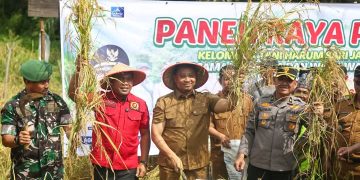 Panen Padi di Rumbai Timur, Wawako Pekanbaru: Hasil Sendiri Lebih Baik