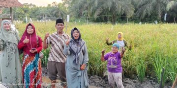 Panen Raya Padi di Limbungan: Momentum Kebangkitan Pertanian Rumbai Timur