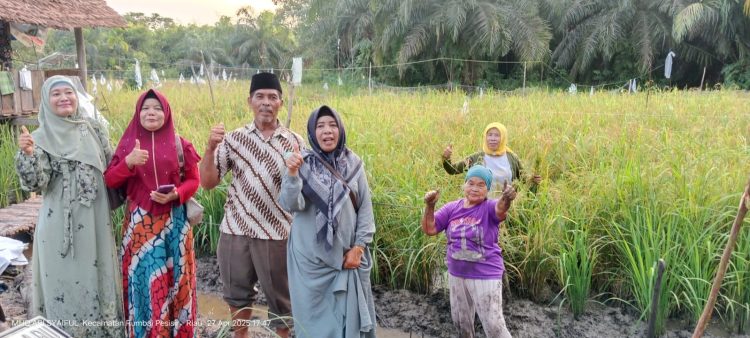 Panen Raya Padi di Limbungan: Momentum Kebangkitan Pertanian Rumbai Timur
