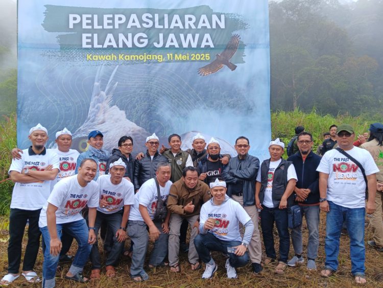 Raja Juli Antoni Lepas Liarkan 2 Elang Jawa di Hutan Kamojang