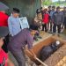 Pemakaman Perdana Taman Makam BMKM, Almarhumah Zaijar binti Ismail Jadi Pusara Pertama