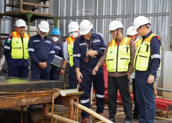 Mendiktisaintek: PT Timah pelopor pengembangan tanah jarang Indonesia