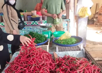 Harga Cabai Merah di Pasar Bengkalis Bertahan di Angka Rp100 Ribu per Kilogram