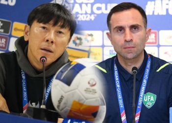 Shin Tae-yong ke Malaysia, Timur Kapadze di Indonesia