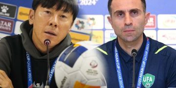 Shin Tae-yong ke Malaysia, Timur Kapadze di Indonesia