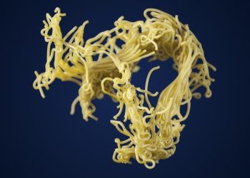 Benarkah Tubuh Manusia Perlu Berhari-hari untuk Mencerna Mi Instan? Ini Faktanya