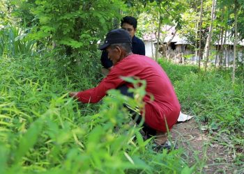 Kisah Buniman Hidupi 6 Anggota Keluarga dengan Upah Rp 40.000 di Tengah Lahan BUMN
