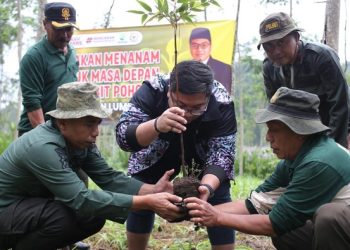 Anggota DPR Kawendra Bareng Perhutani Tanam 888 Bibit Pohon di Lumajang