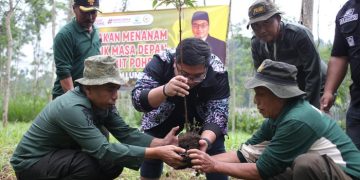 Anggota DPR Kawendra Bareng Perhutani Tanam 888 Bibit Pohon di Lumajang