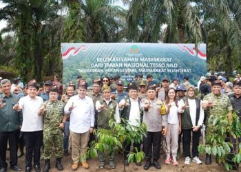 Disaksikan Menhut-Forkopimda Riau, Penumbangan Sawit Awali Pemulihan Tesso Nilo