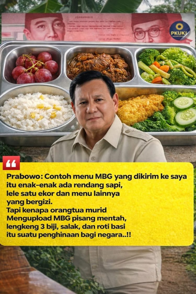 Menu MBG Viral di Media Sosial, Presiden Prabowo Soroti Dugaan Penyimpangan dari Standar Gizi