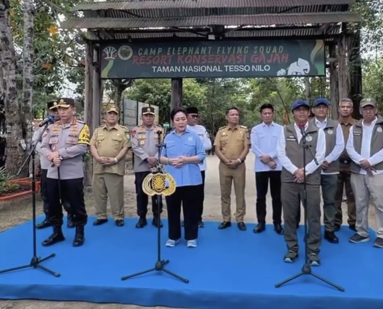 Raja Juli Antoni Tinjau Tesso Nilo, Tegaskan Komitmen Jaga Habitat Gajah Jelang Lebaran