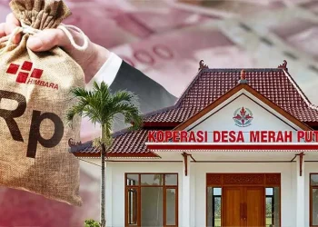 DPR Tunda Klarifikasi Agrinas soal impor Mobil Pikap india