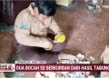 Dua Siswa SD di Bangkalan Berhasil Beli Kambing Kurban dari Tabungan Sendiri